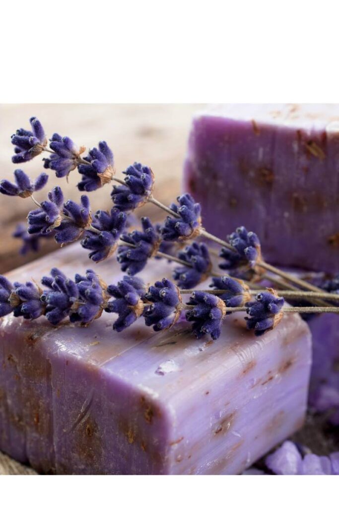 Receita de sabonete artesanal de lavanda