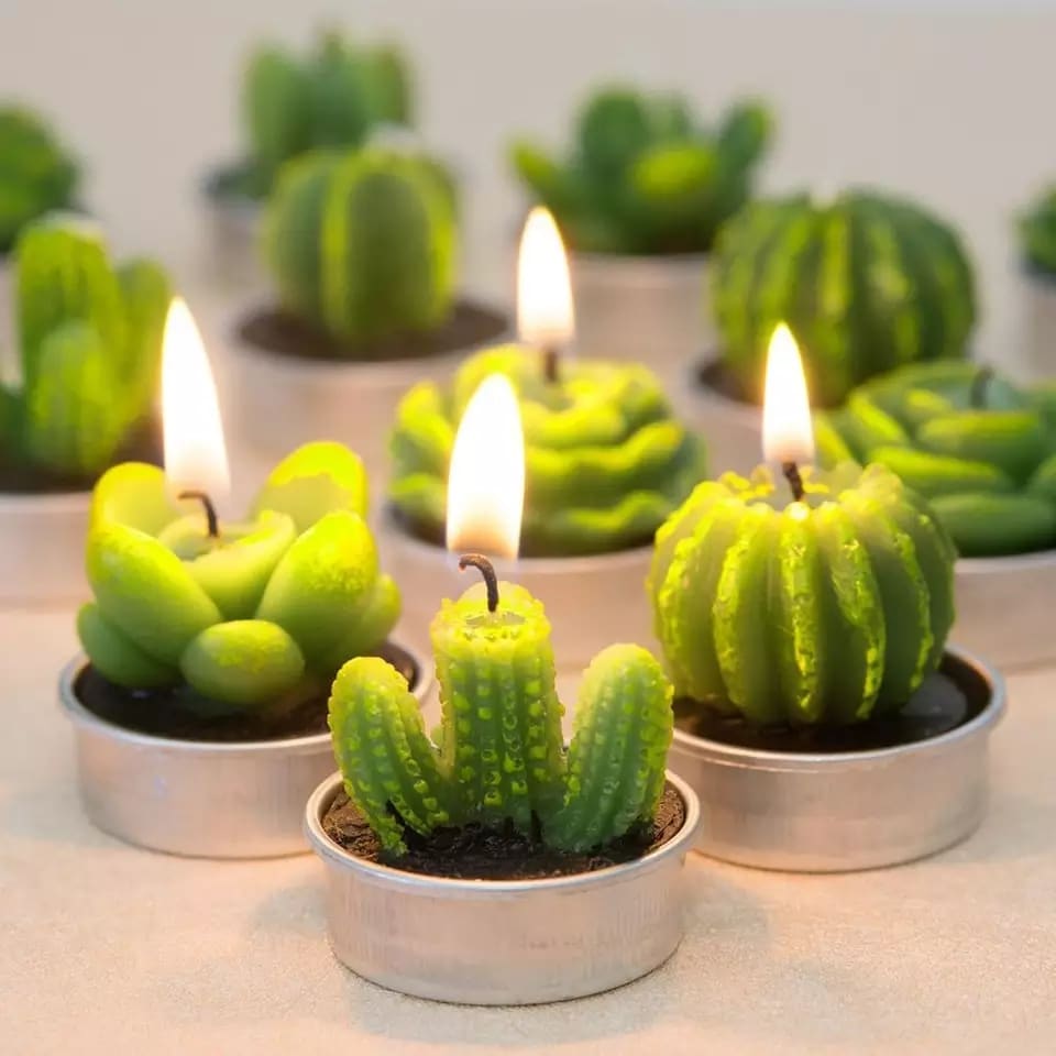 Curso de Velas Artesanais Cactus